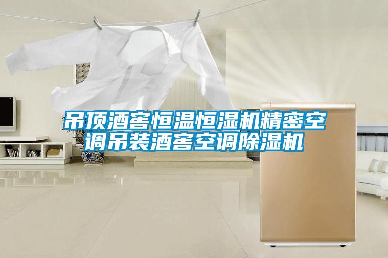 吊頂酒窖恒溫恒濕機(jī)精密空調(diào)吊裝酒窖空調(diào)除濕機(jī)