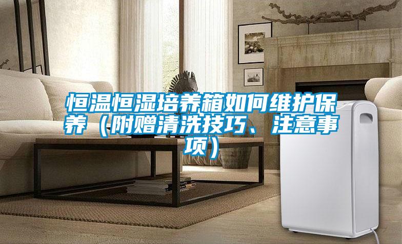 恒溫恒濕培養(yǎng)箱如何維護(hù)保養(yǎng)（附贈(zèng)清洗技巧、注意事項(xiàng)）