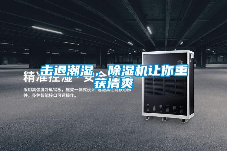 擊退潮濕，除濕機讓你重獲清爽