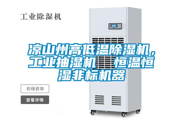 涼山州高低溫除濕機(jī)，工業(yè)抽濕機(jī)  恒溫恒濕非標(biāo)機(jī)器