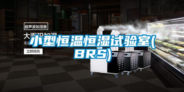 小型恒溫恒濕試驗室(BRS)