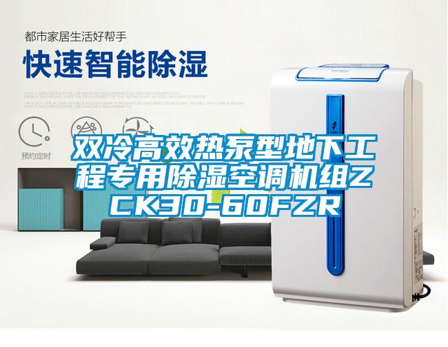 雙冷高效熱泵型地下工程專用除濕空調機組ZCK30-60FZR