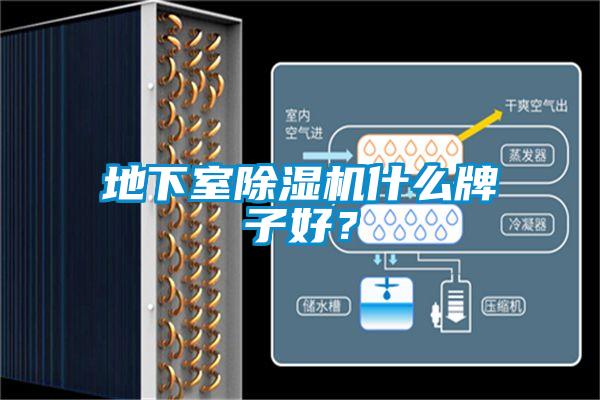 地下室除濕機(jī)什么牌子好？