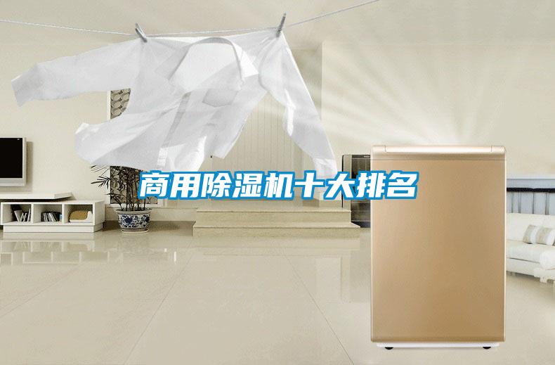 商用除濕機十大排名