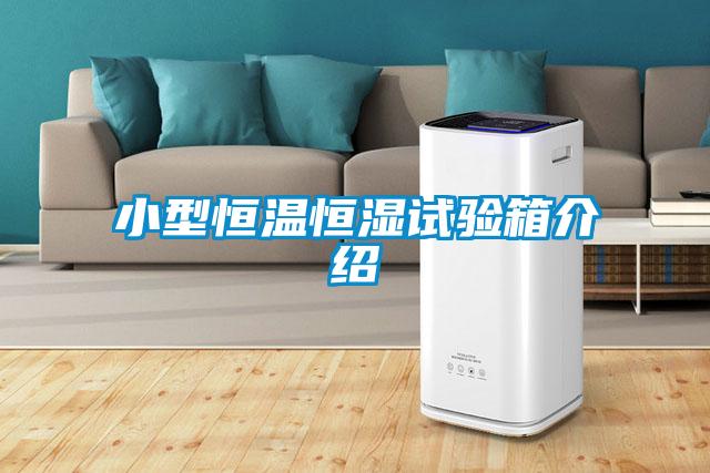 小型恒溫恒濕試驗(yàn)箱介紹