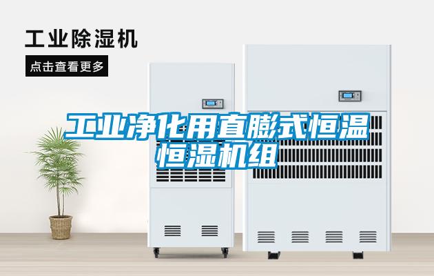 工業(yè)凈化用直膨式恒溫恒濕機(jī)組
