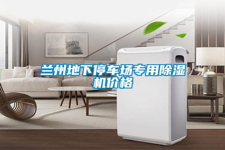 蘭州地下停車場專用除濕機(jī)價(jià)格