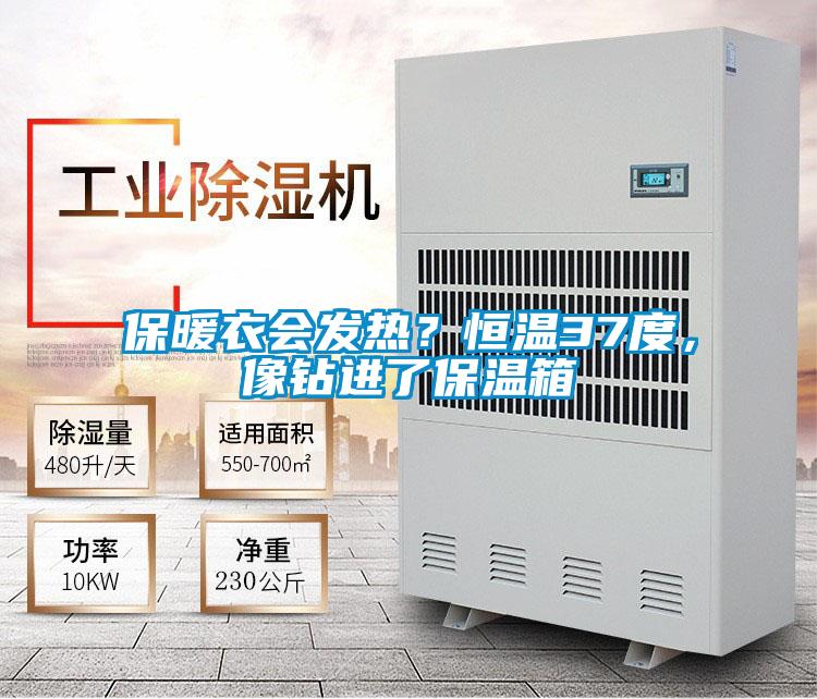 保暖衣會(huì)發(fā)熱？恒溫37度，像鉆進(jìn)了保溫箱