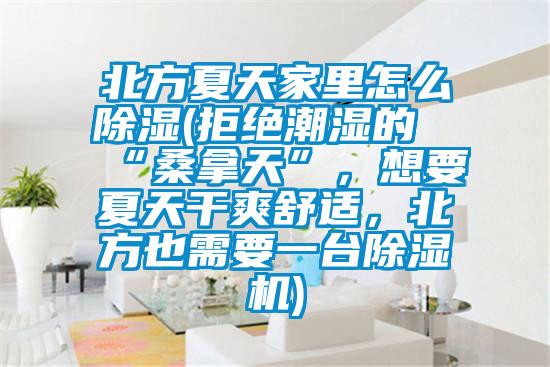 北方夏天家里怎么除濕(拒絕潮濕的“桑拿天”，想要夏天干爽舒適，北方也需要一臺除濕機)