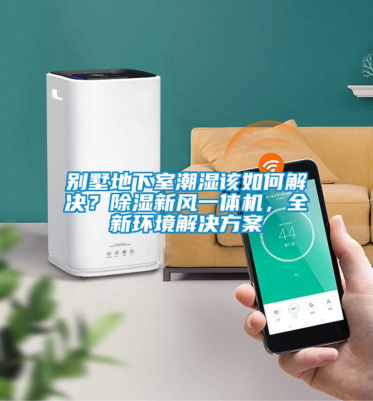 別墅地下室潮濕該如何解決？除濕新風(fēng)一體機，全新環(huán)境解決方案