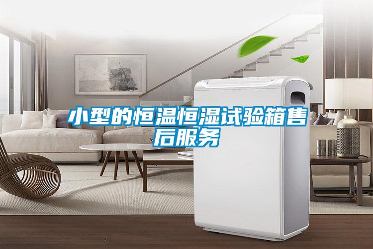 小型的恒溫恒濕試驗箱售后服務
