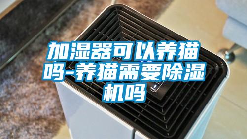 加濕器可以養(yǎng)貓嗎-養(yǎng)貓需要除濕機嗎