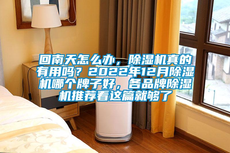 回南天怎么辦，除濕機(jī)真的有用嗎？2022年12月除濕機(jī)哪個(gè)牌子好，各品牌除濕機(jī)推薦看這篇就夠了