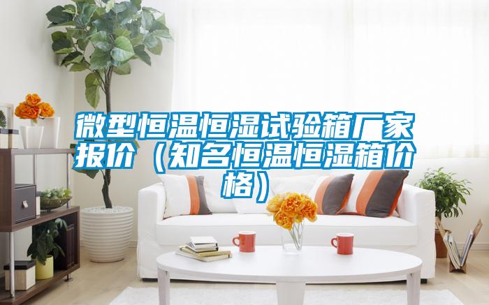 微型恒溫恒濕試驗(yàn)箱廠家報(bào)價(jià)（知名恒溫恒濕箱價(jià)格）