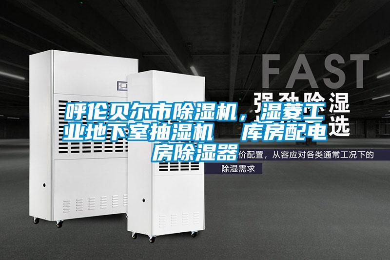 呼倫貝爾市除濕機，濕菱工業(yè)地下室抽濕機  庫房配電房除濕器