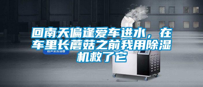 回南天偏逢愛車進(jìn)水，在車?yán)镩L(zhǎng)蘑菇之前我用除濕機(jī)救了它