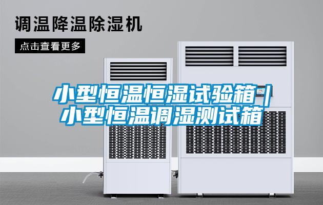 小型恒溫恒濕試驗箱｜小型恒溫調濕測試箱