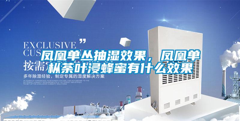 鳳凰單叢抽濕效果，鳳凰單樅荼葉浸蜂蜜有什么效果