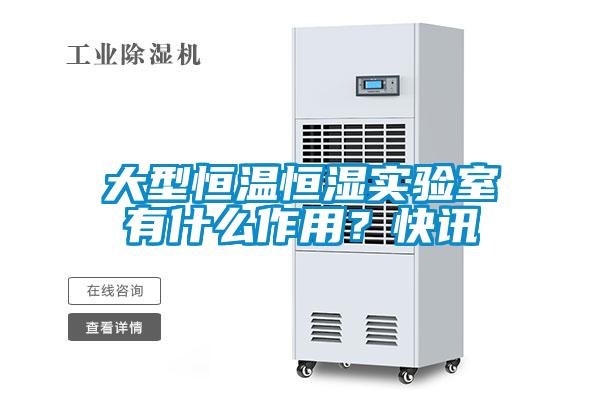 大型恒溫恒濕實驗室有什么作用？快訊