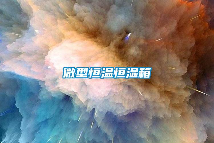 微型恒溫恒濕箱