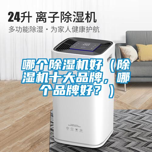 哪個(gè)除濕機(jī)好（除濕機(jī)十大品牌，哪個(gè)品牌好？）