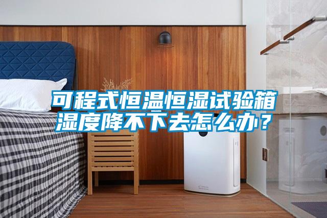可程式恒溫恒濕試驗(yàn)箱濕度降不下去怎么辦？