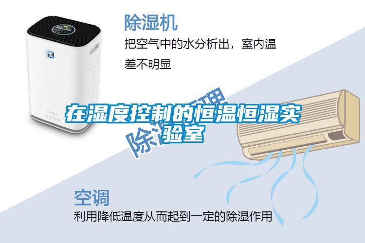 在濕度控制的恒溫恒濕實驗室