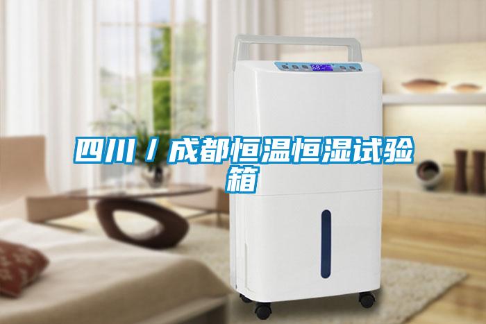 四川／成都恒溫恒濕試驗箱