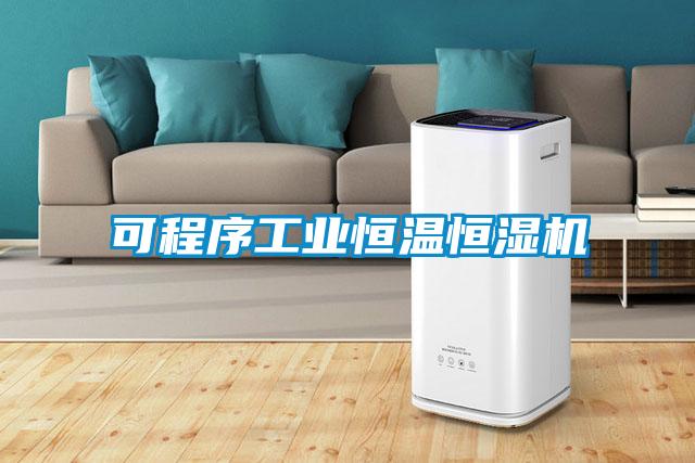 可程序工業(yè)恒溫恒濕機(jī)