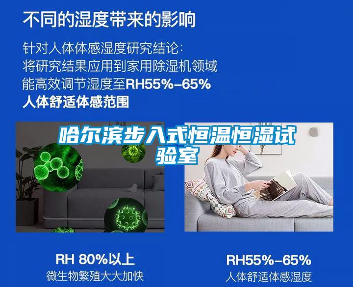 哈爾濱步入式恒溫恒濕試驗室