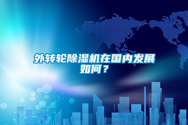 外轉(zhuǎn)輪除濕機(jī)在國內(nèi)發(fā)展如何？