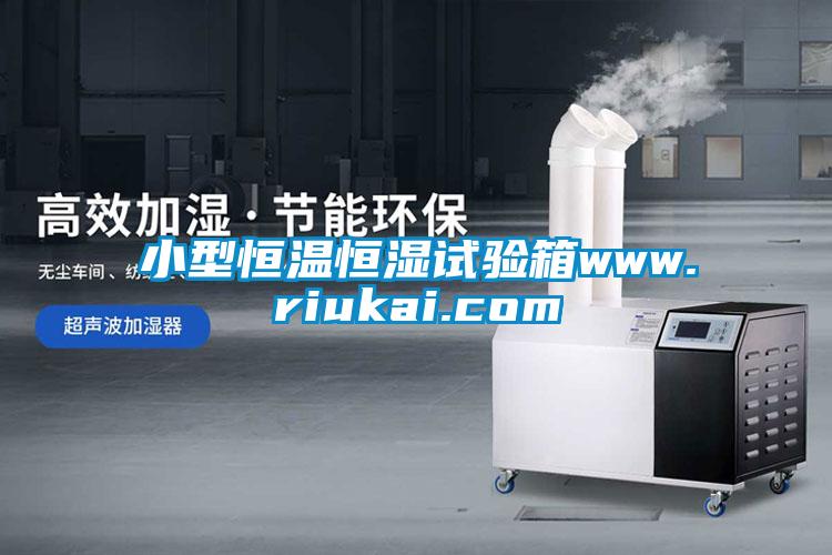 小型恒溫恒濕試驗箱www.riukai.com