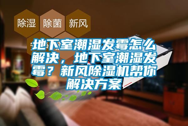 地下室潮濕發(fā)霉怎么解決，地下室潮濕發(fā)霉？新風除濕機幫你解決方案