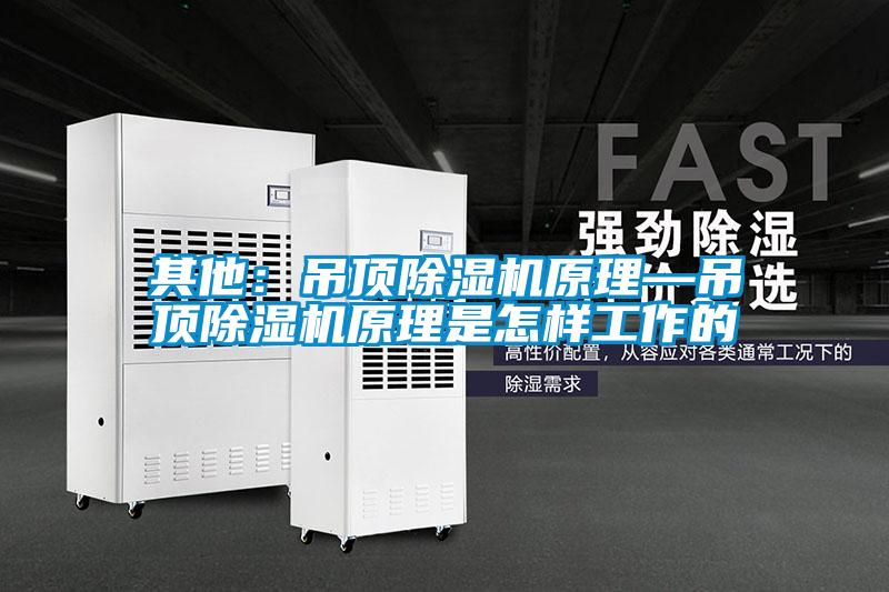其他：吊頂除濕機(jī)原理—吊頂除濕機(jī)原理是怎樣工作的