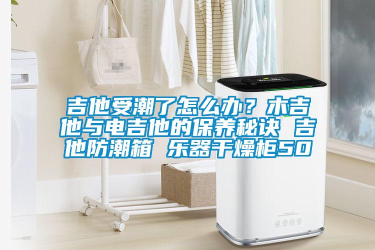 吉他受潮了怎么辦？木吉他與電吉他的保養(yǎng)秘訣 吉他防潮箱 樂器干燥柜50