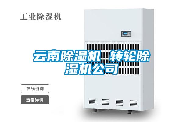 云南除濕機 轉(zhuǎn)輪除濕機公司