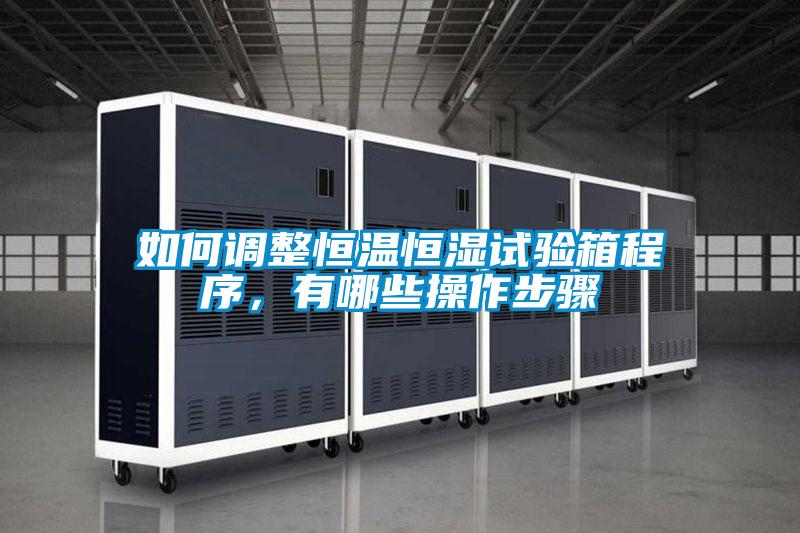 如何調(diào)整恒溫恒濕試驗(yàn)箱程序，有哪些操作步驟