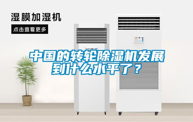 中國(guó)的轉(zhuǎn)輪除濕機(jī)發(fā)展到什么水平了？