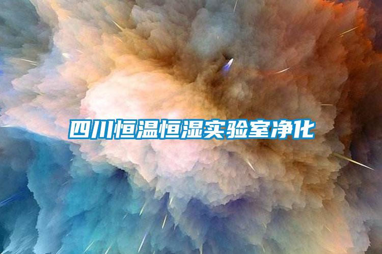 四川恒溫恒濕實驗室凈化