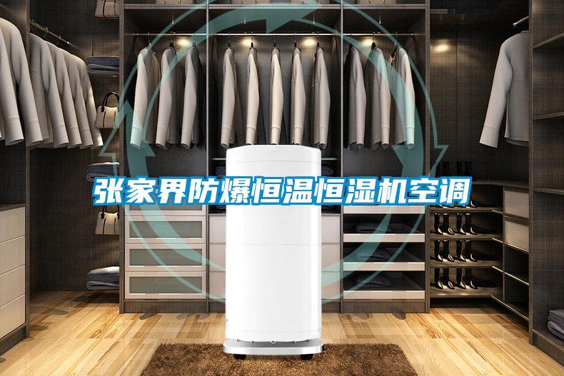 張家界防爆恒溫恒濕機(jī)空調(diào)