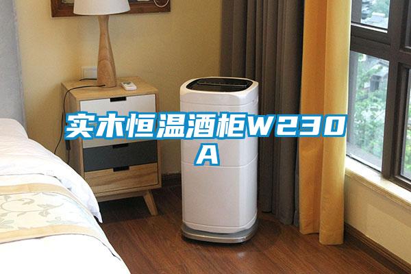 實(shí)木恒溫酒柜W230A
