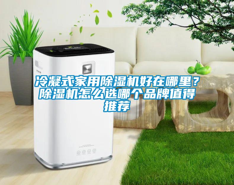 冷凝式家用除濕機(jī)好在哪里？除濕機(jī)怎么選哪個品牌值得推薦