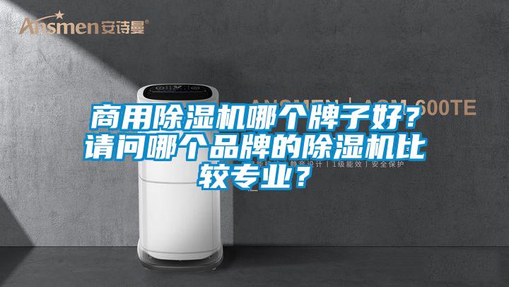 商用除濕機(jī)哪個(gè)牌子好？請(qǐng)問哪個(gè)品牌的除濕機(jī)比較專業(yè)？