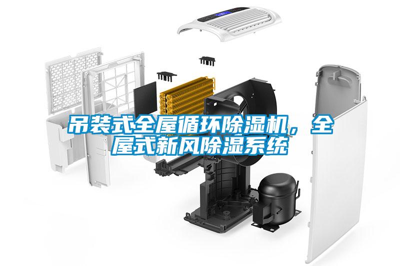 吊裝式全屋循環(huán)除濕機(jī)，全屋式新風(fēng)除濕系統(tǒng)