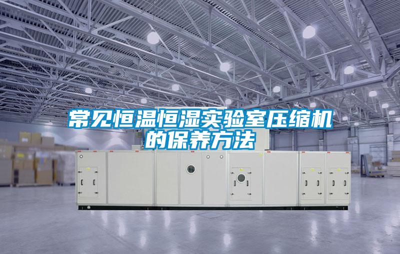 常見恒溫恒濕實(shí)驗(yàn)室壓縮機(jī)的保養(yǎng)方法