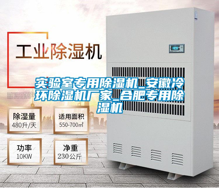 實(shí)驗(yàn)室專(zhuān)用除濕機(jī)_安徽冷環(huán)除濕機(jī)廠家_合肥專(zhuān)用除濕機(jī)