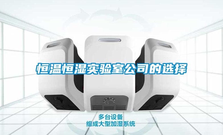 恒溫恒濕實驗室公司的選擇