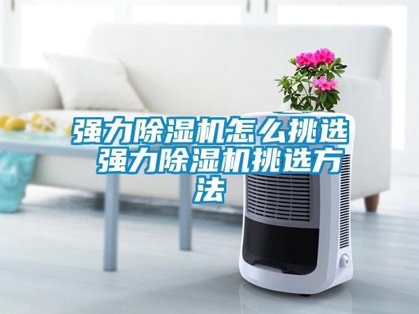 強力除濕機怎么挑選 強力除濕機挑選方法
