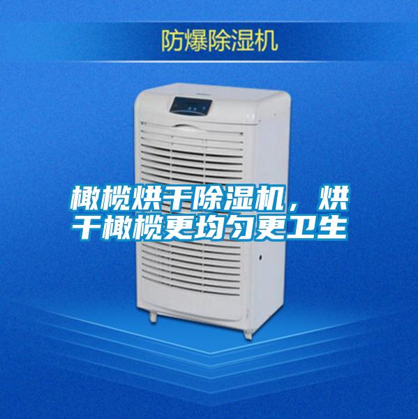 橄欖烘干除濕機(jī)，烘干橄欖更均勻更衛(wèi)生