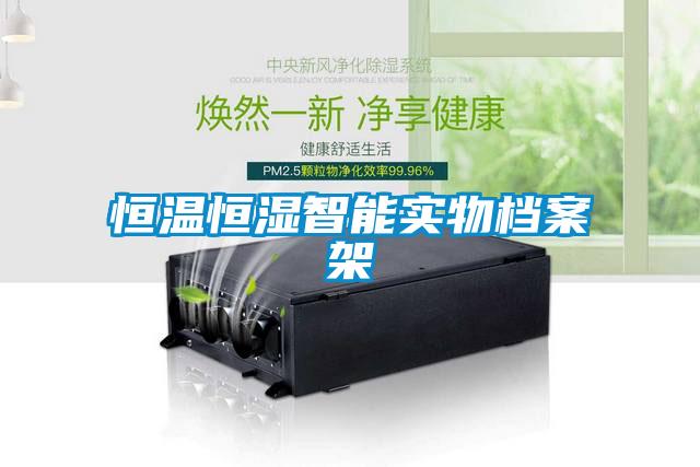 恒溫恒濕智能實物檔案架